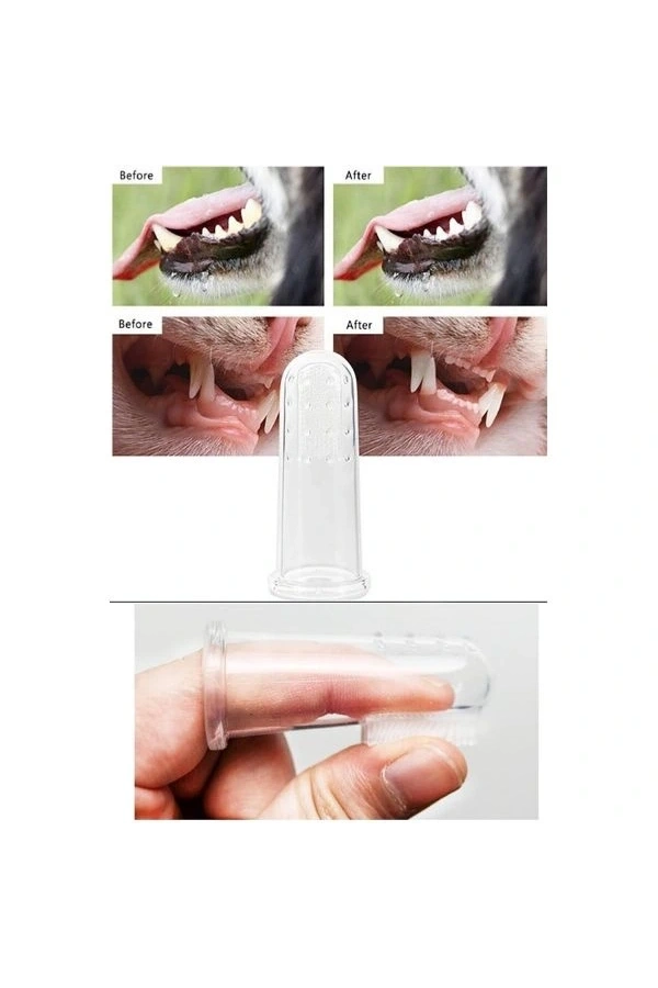 Bidebuvar Kedi Köpek Diş Temizleme Fırçası