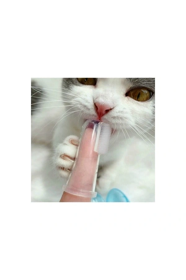 Bidebuvar Kedi Köpek Diş Temizleme Fırçası
