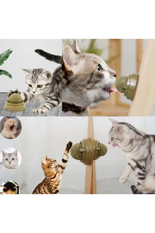 Bidebuvar Kedi Nanesi Oyun Topu