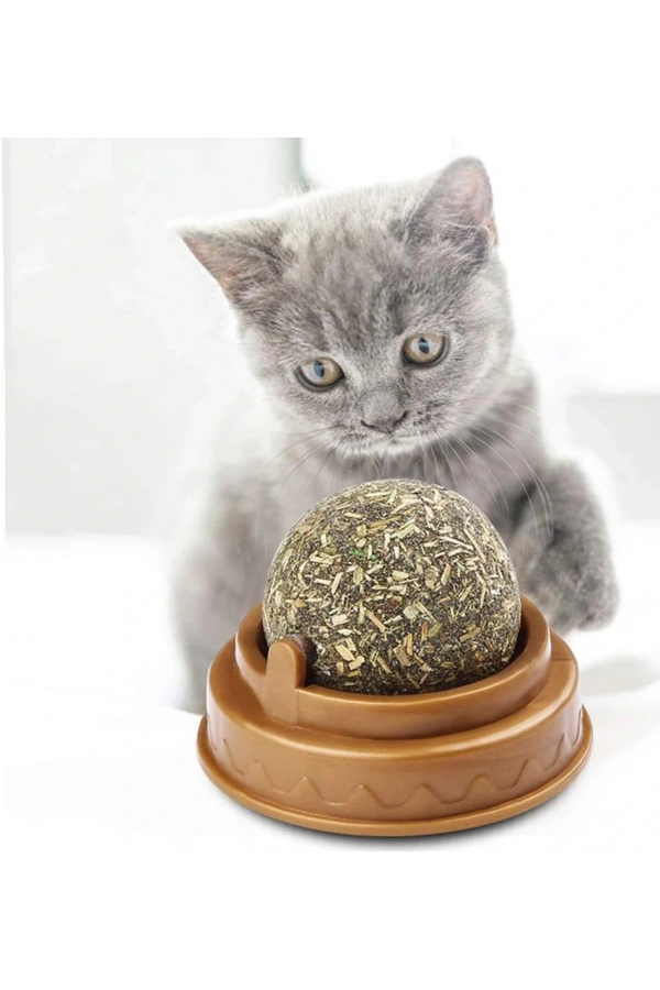 Bidebuvar Kedi Nanesi Oyun Topu