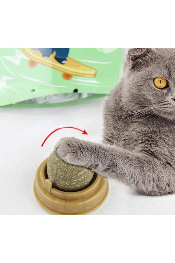 Bidebuvar Kedi Otu Oyun Topu