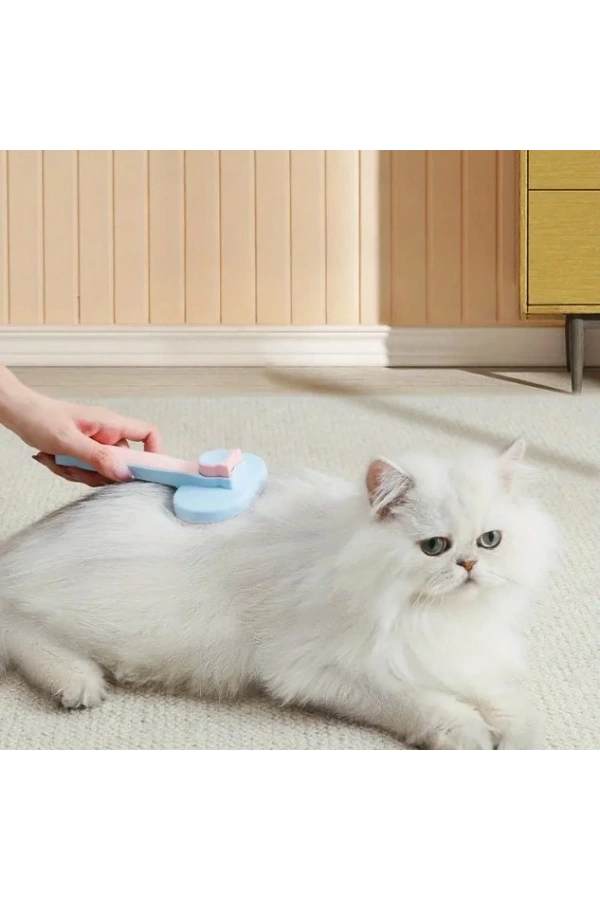 Bidebuvar Kedi ve Köpekler İçin Kendini Temizleyen Tüy Fırçası