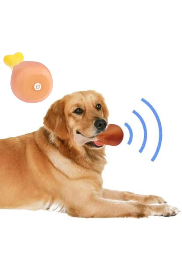 Bidebuvar Köpekler İçin Sesli Oyuncak Tavuk Butu