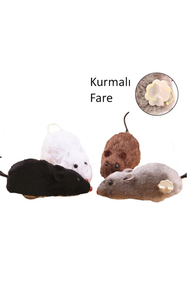 Bidebuvar Kurmalı Fare Kedi Eğitim Oyuncağı