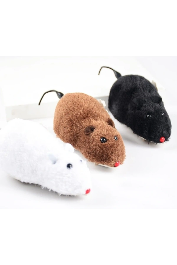 Bidebuvar Kurmalı Fare Kedi Eğitim Oyuncağı