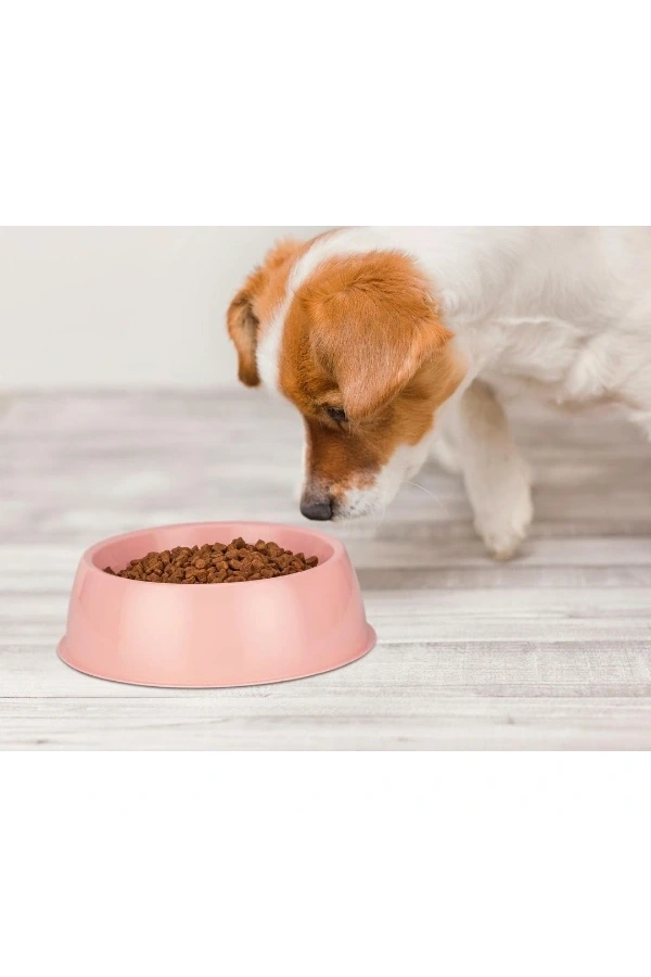 Bidebuvar Mikopet Küçük Yuvarlak Mama Kabı