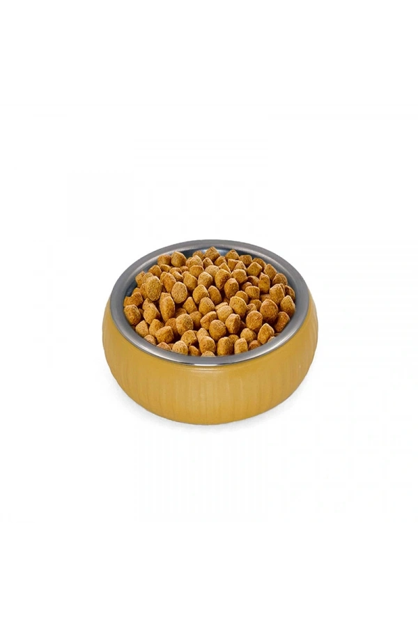 Bidebuvar Mikopet Organik Seramik Mama Kabı Sarı