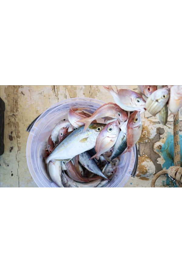 Bidebuvar Misina İpi 300 Metre