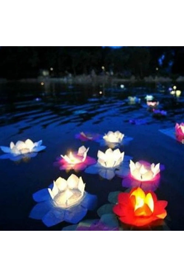 Bidebuvar Nilüfer Su Feneri