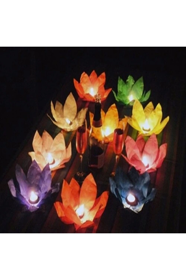 Bidebuvar Nilüfer Su Feneri