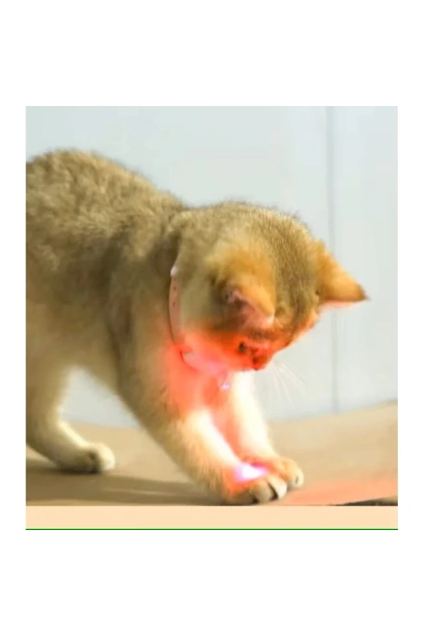 Bidebuvar Otomatik Lazer Oyun Tasması