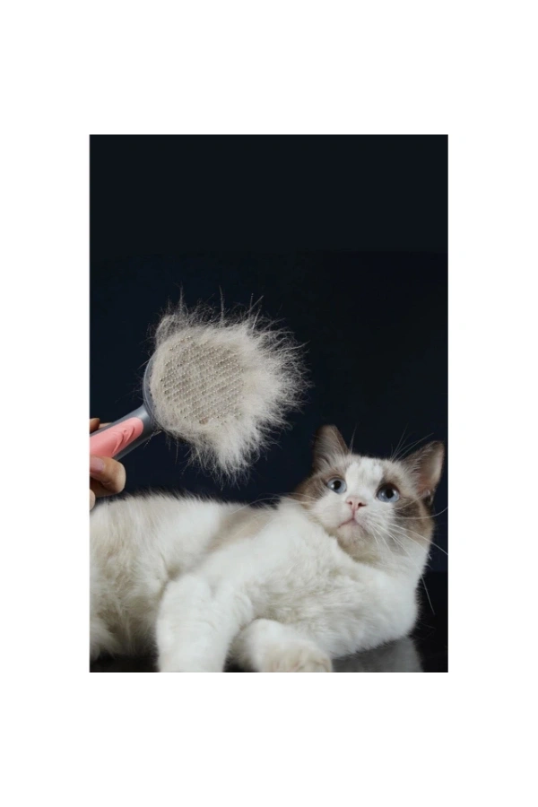 Bidebuvar Otomatik Tuşlu Kendini Temizleyen Kedi Köpek Tarağı
