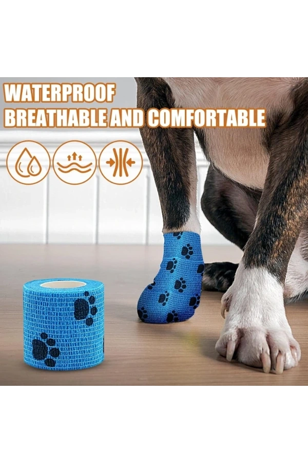 Bidebuvar Pati Bandajı