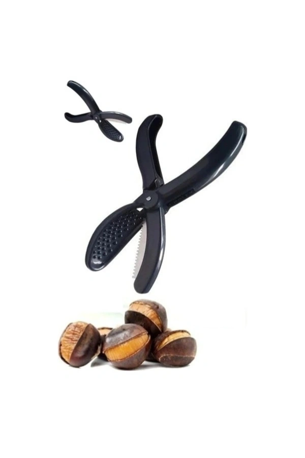 Bidebuvar Plastik Kestane Çizeceği