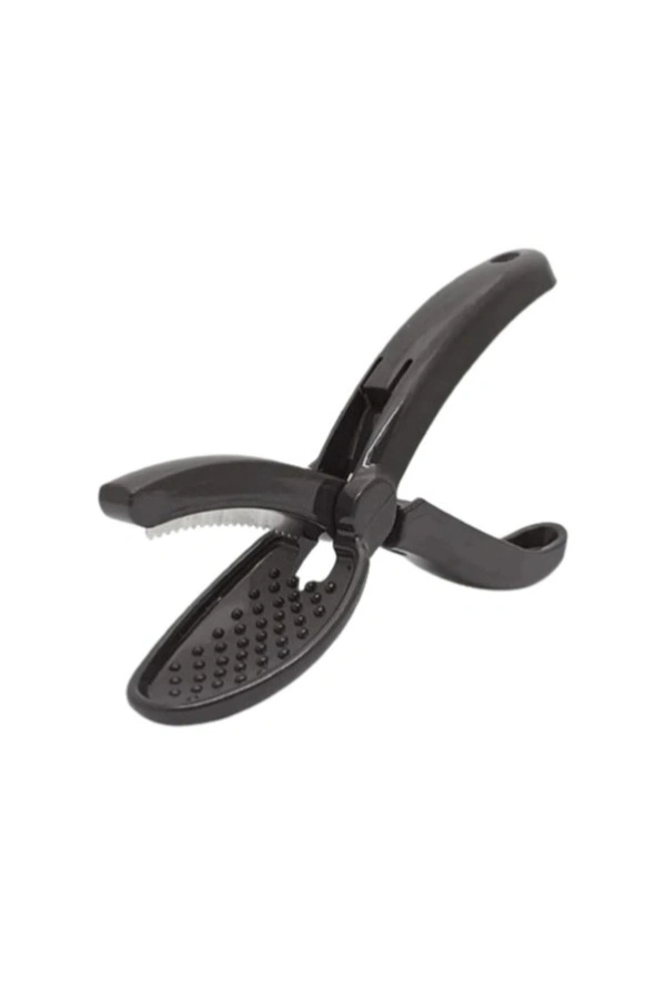 Bidebuvar Plastik Kestane Çizeceği