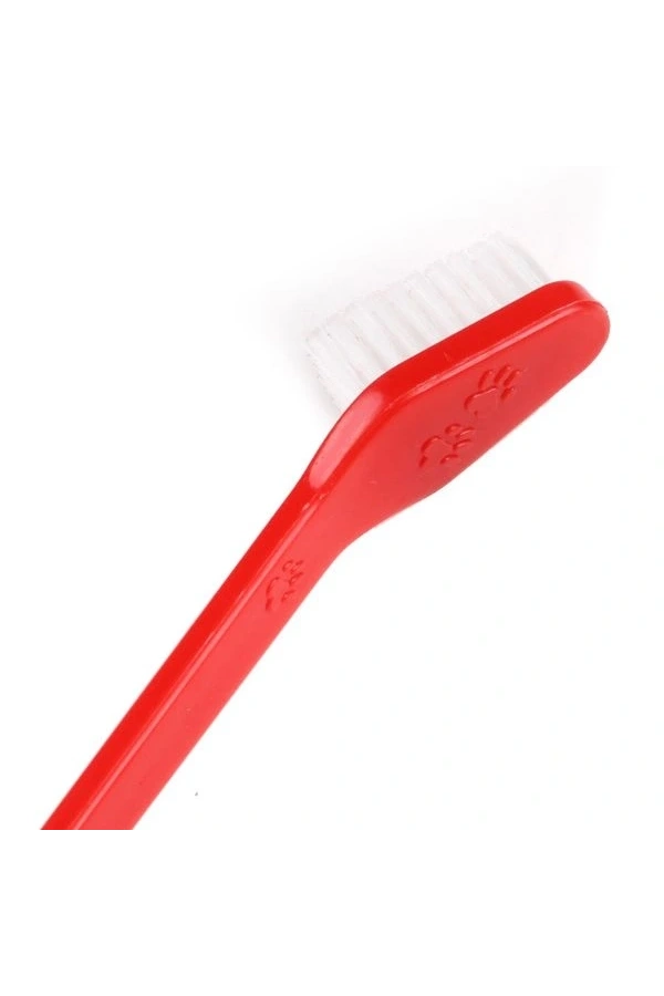 Bidebuvar Plastik Köpek Diş Fırçası 4 Adet