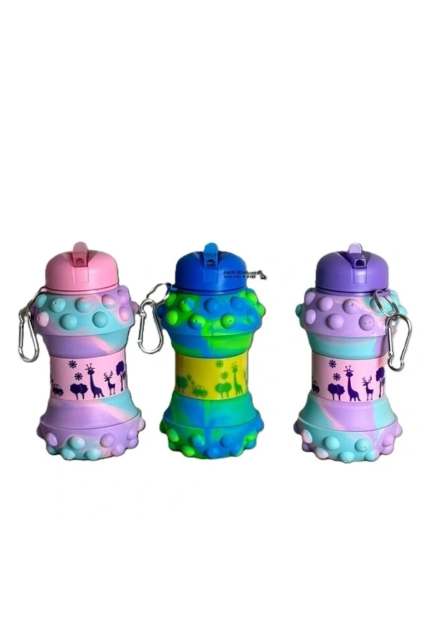 Bidebuvar Pop-It Detaylı Akordiyon Su Şişesi