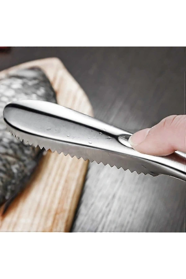 Bidebuvar Pratik Balık Pulu Kazıyıcı Aparat