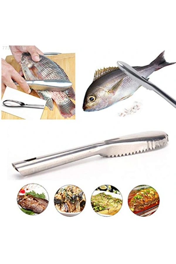 Bidebuvar Pratik Balık Pulu Kazıyıcı Aparat