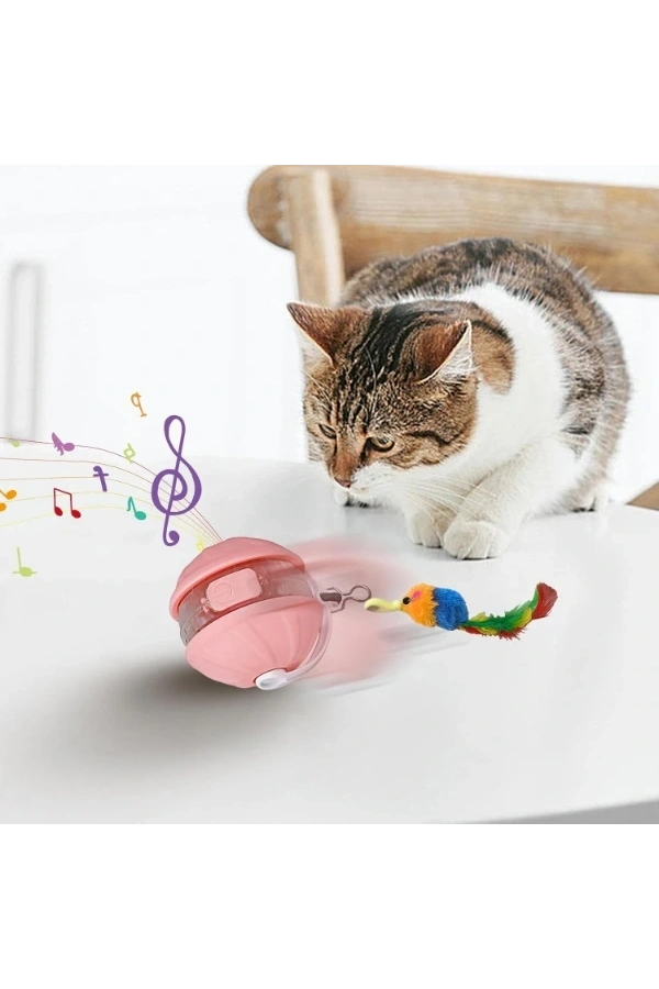 Bidebuvar Şarjlı Hareketli Kedi Topu Oyuncak