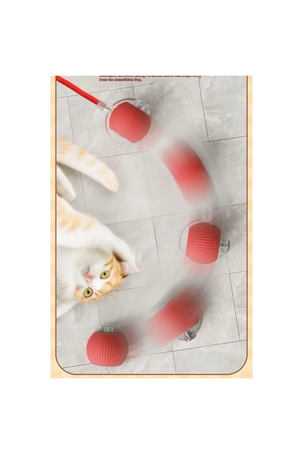Bidebuvar Şarjlı Kedi Oyuncağı