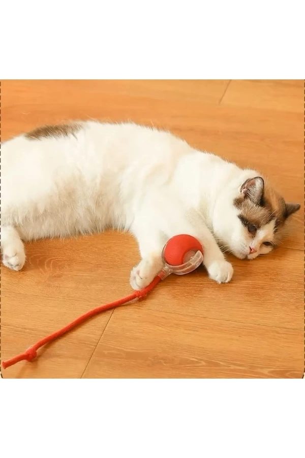 Bidebuvar Şarjlı Kedi Oyuncağı