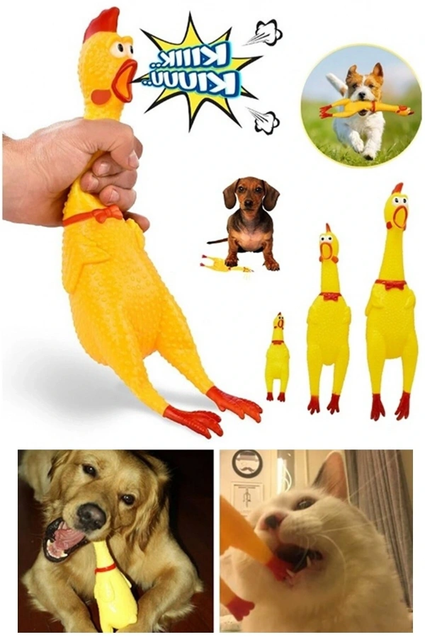Bidebuvar Ses Çıkaran Tavuk Kedi Köpek Oyuncağı 38 cm.