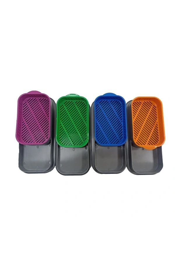 Bidebuvar Topraksız Kedi Çimi Kabı