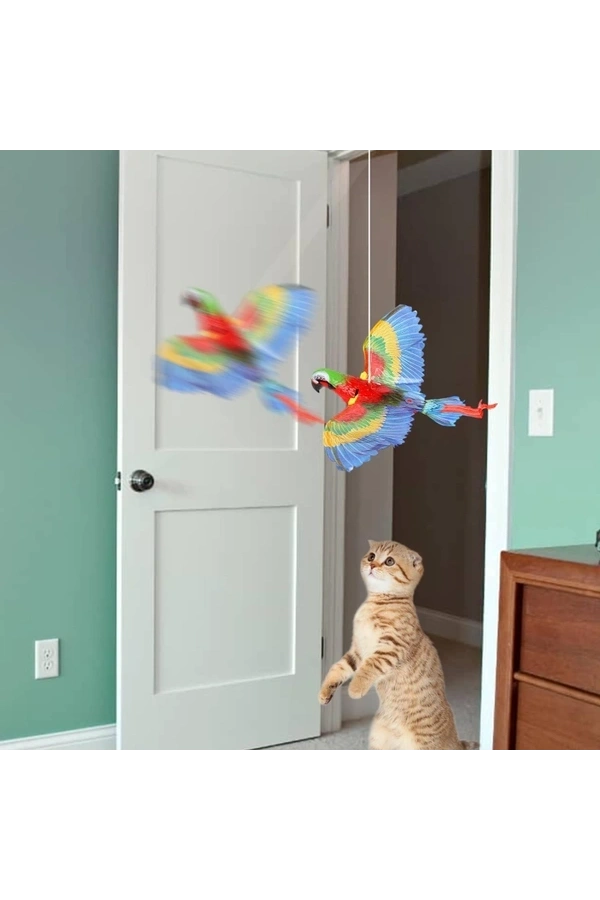 Bidebuvar Uçan Papağan Kedi Oyuncağı