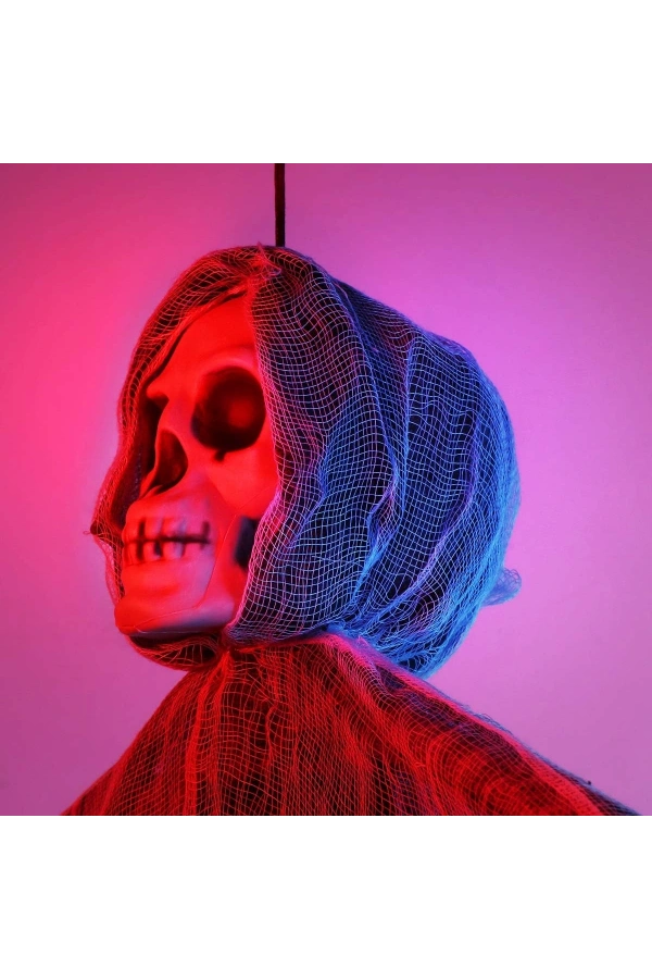 Bidebuvar Ürpertici Kuru Kafa Hayalet Saçaklı Dekor