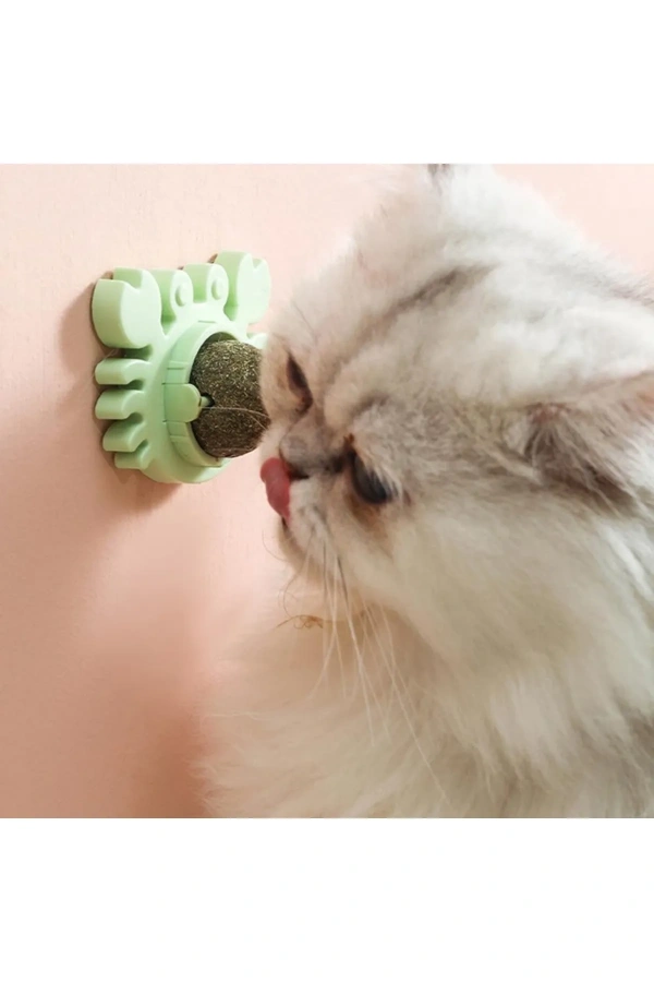 Bidebuvar Yengeç Kedi Otu Oyun Topu
