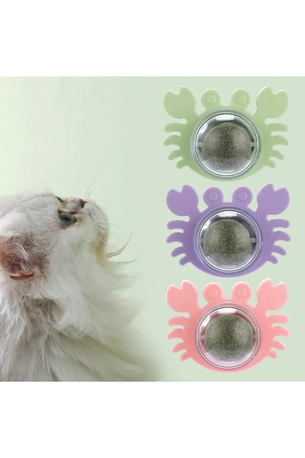 Bidebuvar Yengeç Kedi Otu Oyun Topu