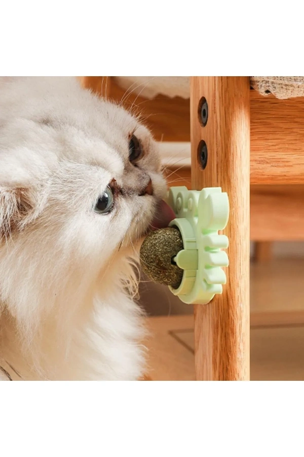 Bidebuvar Yengeç Kedi Otu Oyun Topu