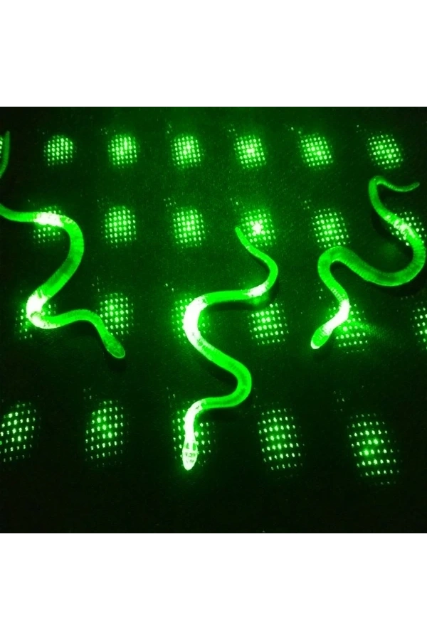 Bidebuvar Yılan Kırkayak Şaka Oyuncağı 36 Adet