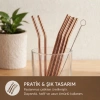 Bidebuvar 6lı Kaşıklı Pipet Seti - Bronz - Pipet Temizleme Fırçası
