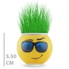 Bidebuvar Çim Adam Saksı Emoji Figürlü 1 Adet