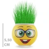 Bidebuvar Çim Adam Saksı Emoji Figürlü 1 Adet