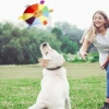 Bidebuvar Çıngıraklı Peluş Frizbi Evcil Hayvan Oyuncağı