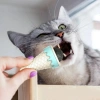 Bidebuvar DONDURMA ŞEKLİNDE KEDİ NANESİ KEDİ OTU