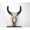 Bidebuvar Duvara Asmalı Bufalo Kafası