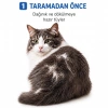 Bidebuvar Kedi Köpek Tarağı - Evcil Hayvan Tüy Toplama Tarağı - Metal Uçlu