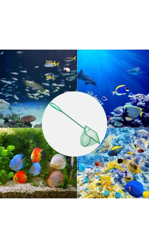 Bidebuvar Akvaryum Balık Kepçesi 10 cm.