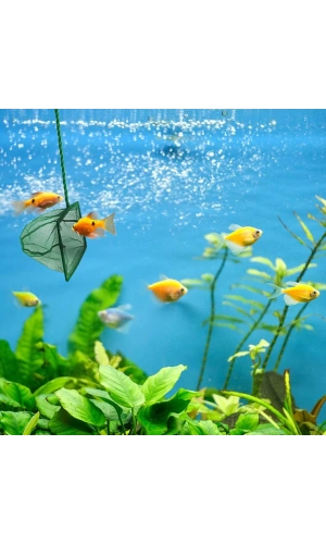 Bidebuvar Akvaryum Balık Kepçesi 7.5 Cm.