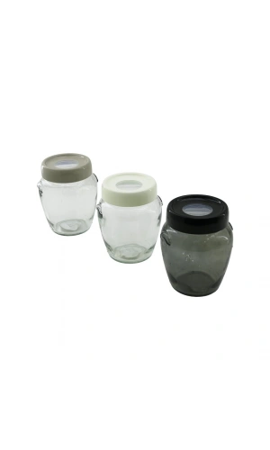 Bidebuvar Cam Kavanoz - 580 ml - Şeffaf