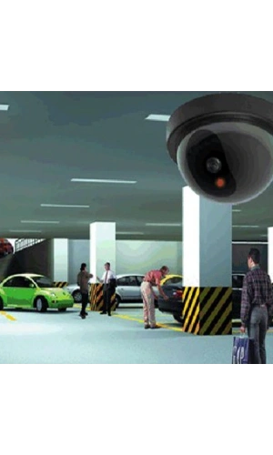 Bidebuvar Caydırıcı Dome Kamera