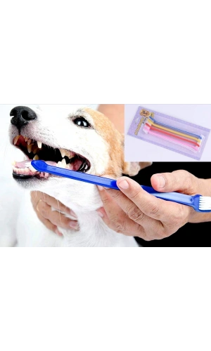 Bidebuvar ÇIFT TARAFLI HAYVAN DIŞ FİRÇASI 4 LÜ SET