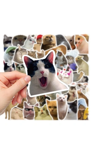 Bidebuvar Çılgın Kediler Macbook Notebook Tablet Telefon Ajanda Laptop Defter Sticker Seti