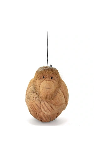 Bidebuvar Coconat Maymun Büstü Model 1
