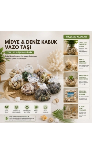 Bidebuvar Dekoratif Vazo Taşı - Midye ve Deniz Kabuğu - Fileli Renkli Mix