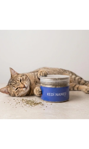 Bidebuvar Doğal Kedi Nanesi (Catnip) - 250 ml Kavanoz - Eğlenceli ve Doğal